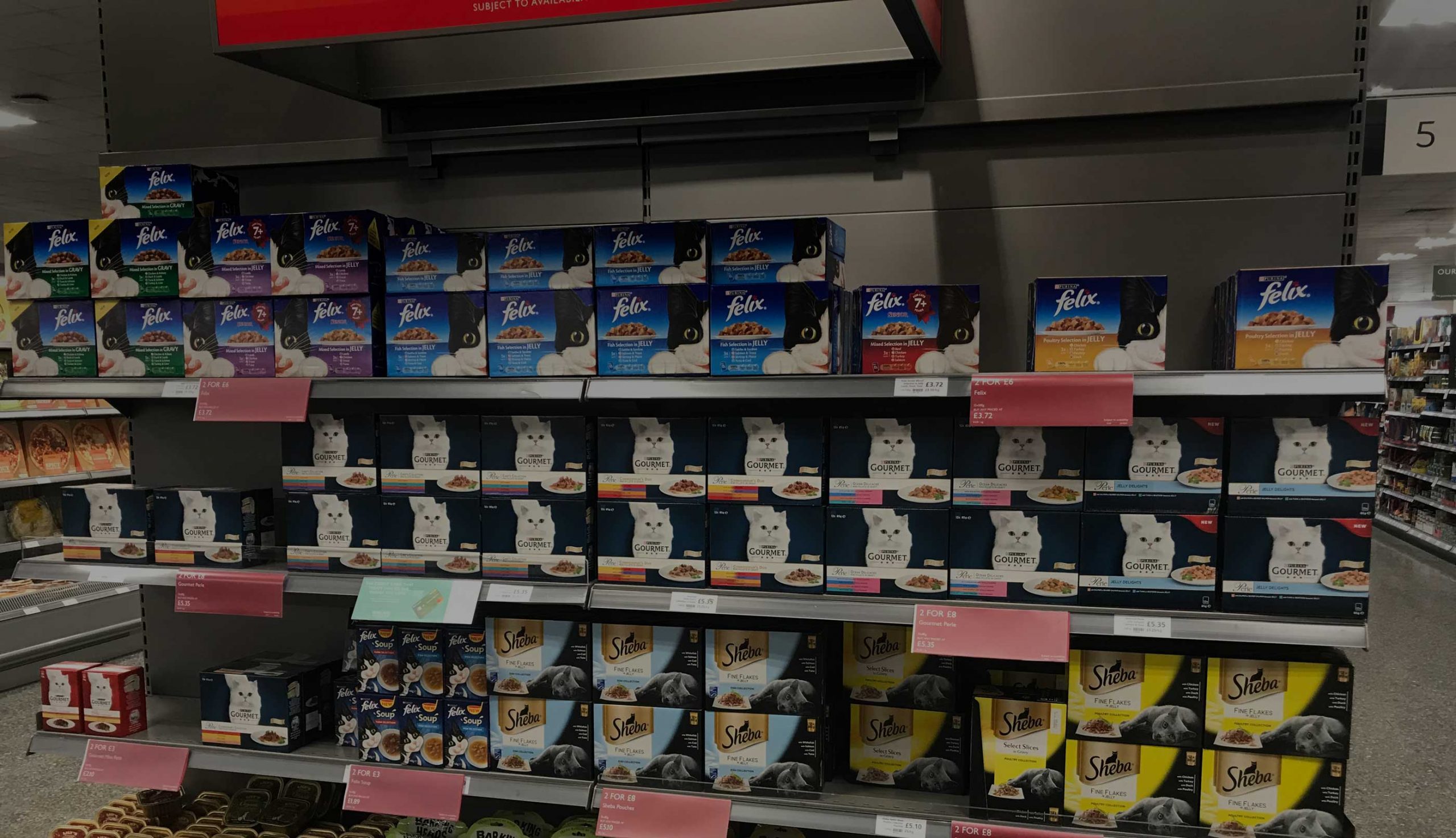 Consulting Success: How RSPCA Identified New B2B Income Streams